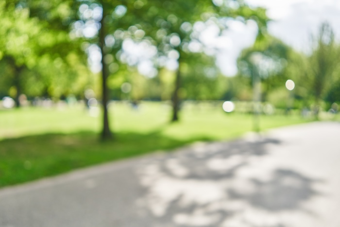 Blurred background of park